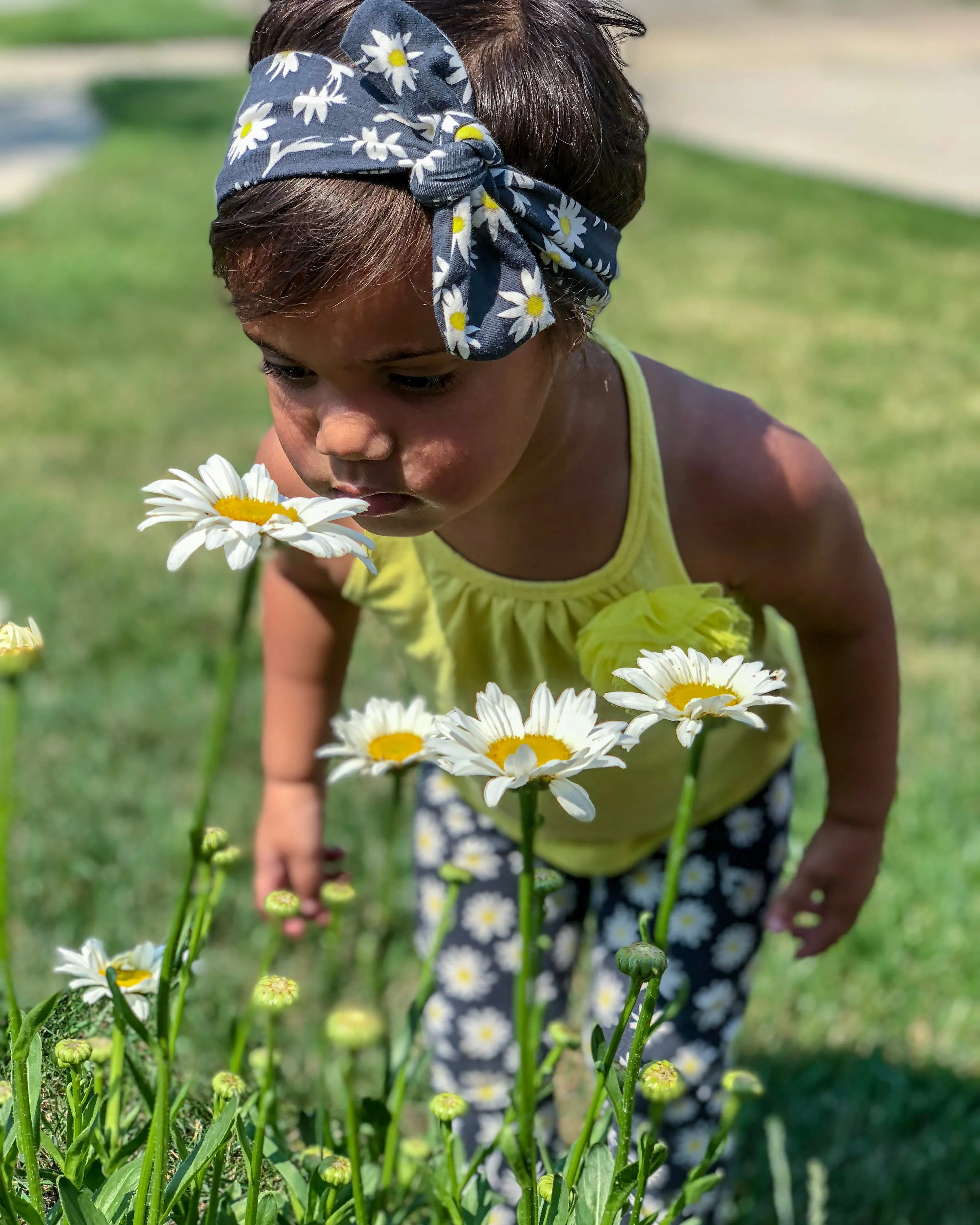 Bell Bottoms - Daisies