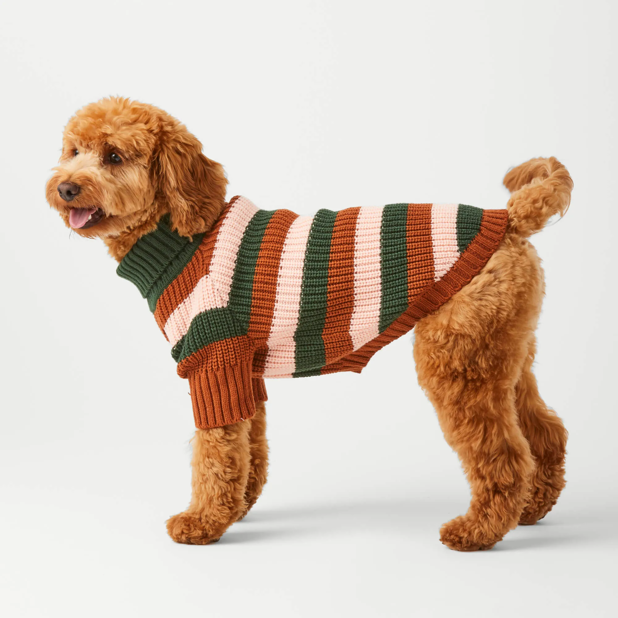 Bold Stripe Dog Sweater