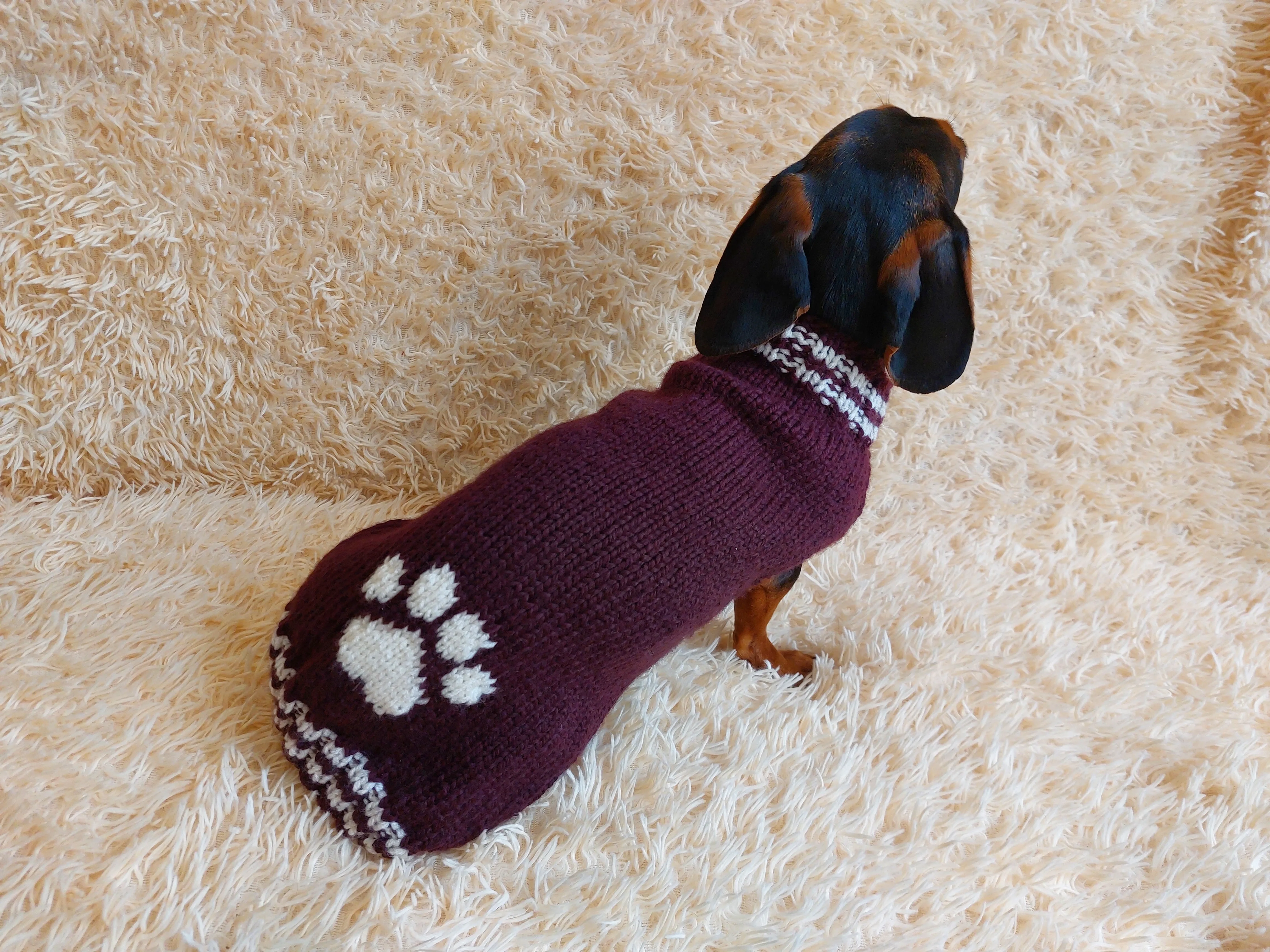 Dog clothes sweater with arana wool alpaca, jumper winter warm wool alpaca, wool winter clothes for dachshund