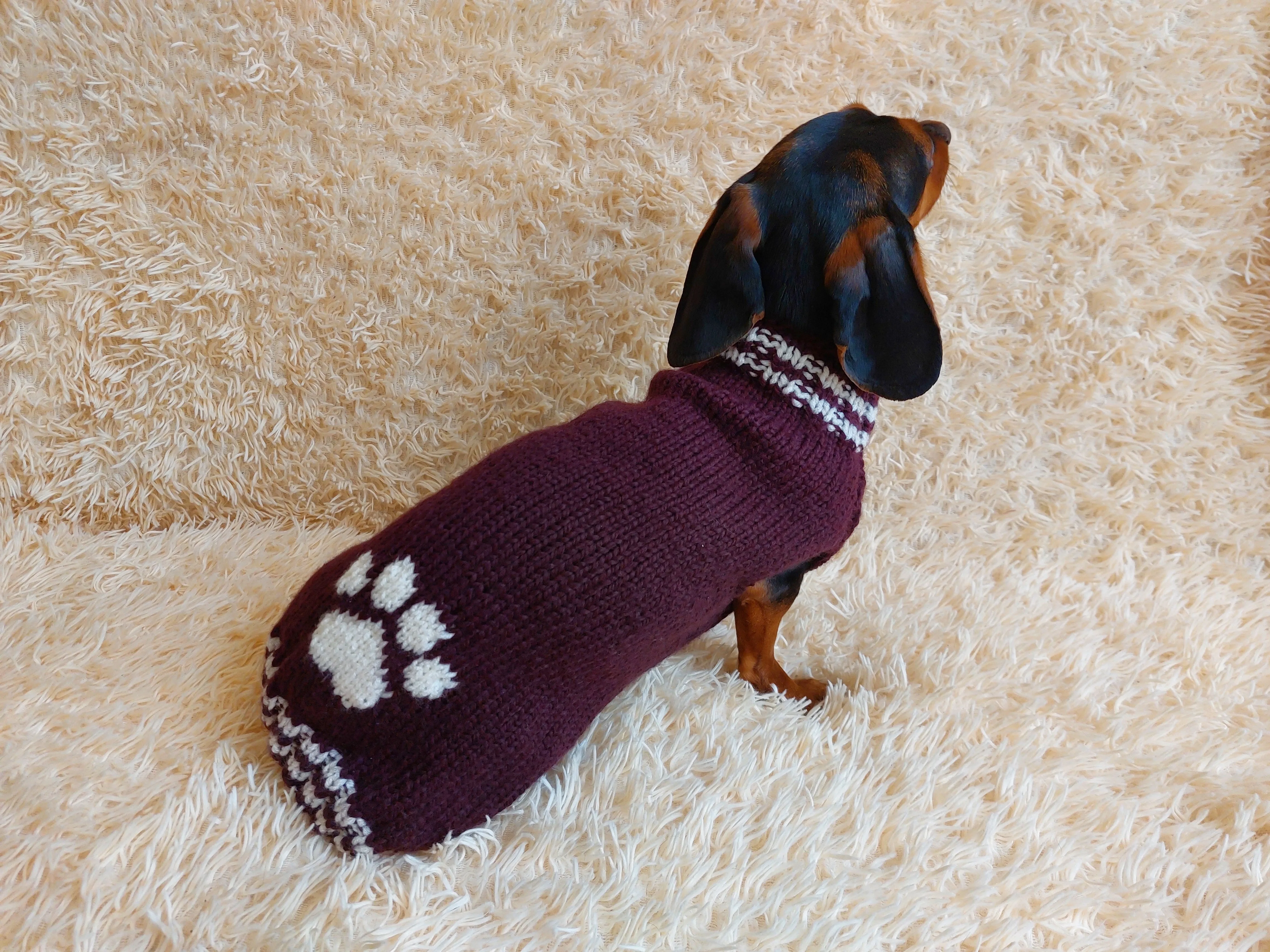 Dog clothes sweater with arana wool alpaca, jumper winter warm wool alpaca, wool winter clothes for dachshund