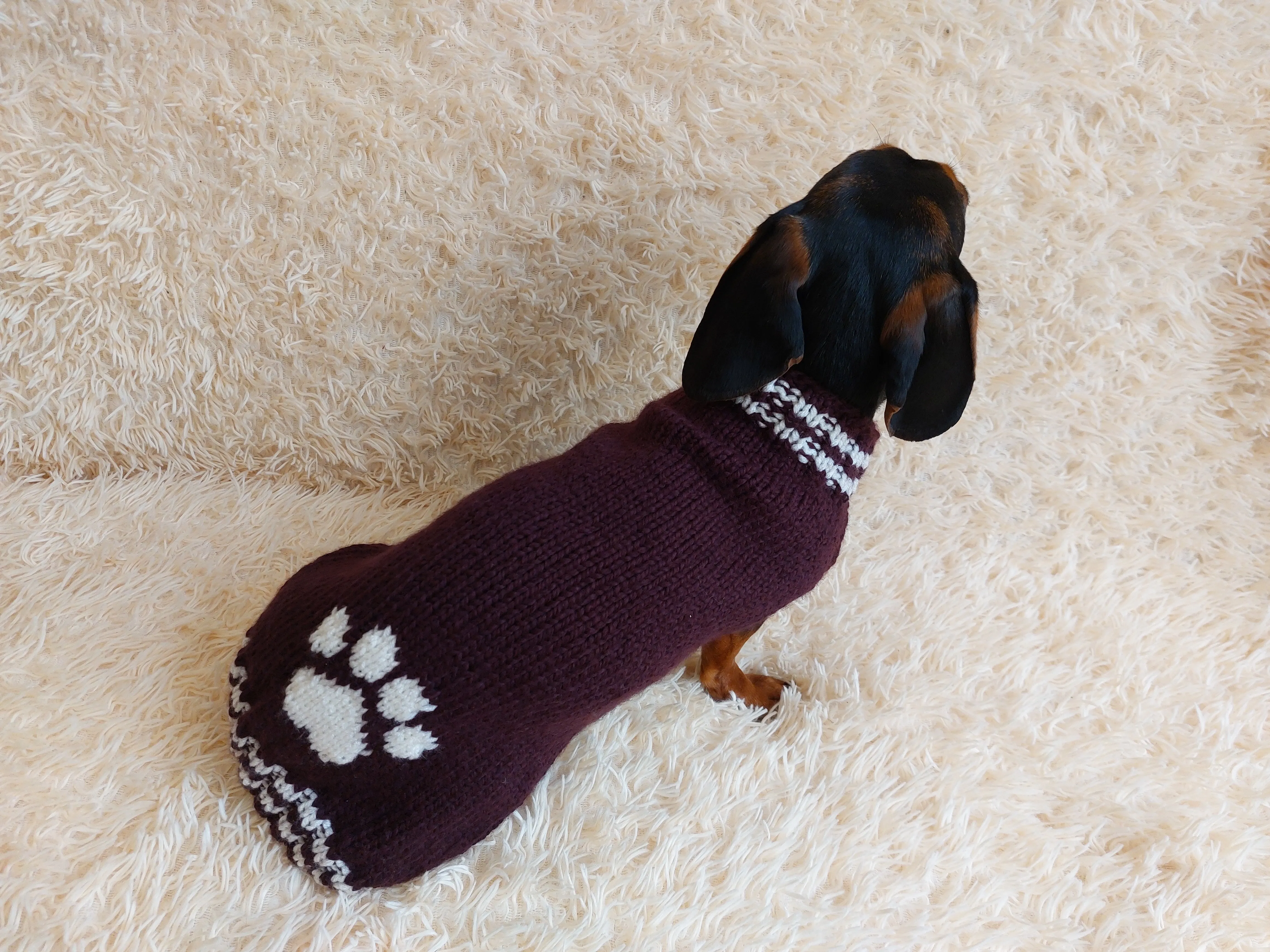 Dog clothes sweater with arana wool alpaca, jumper winter warm wool alpaca, wool winter clothes for dachshund