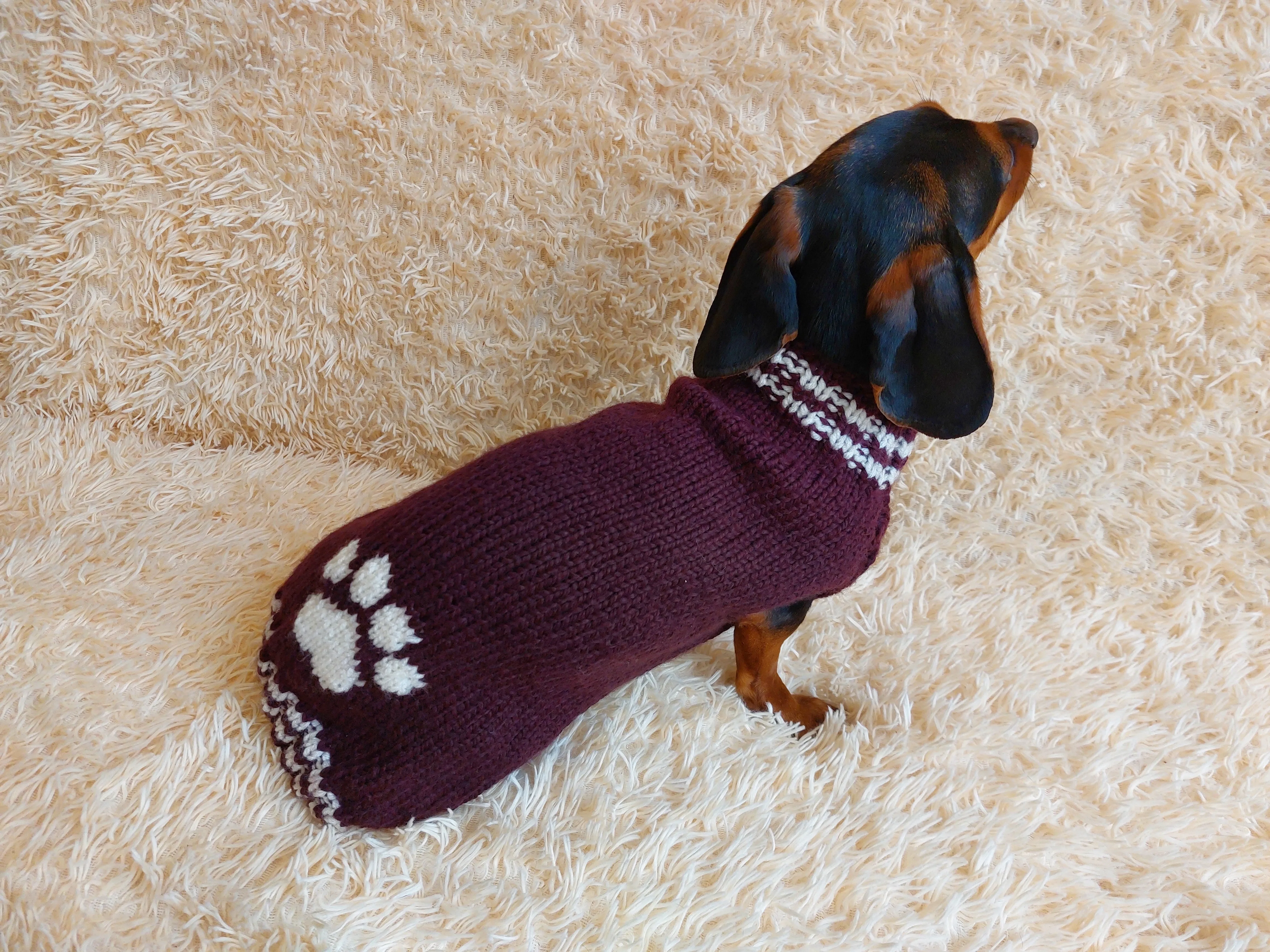 Dog clothes sweater with arana wool alpaca, jumper winter warm wool alpaca, wool winter clothes for dachshund