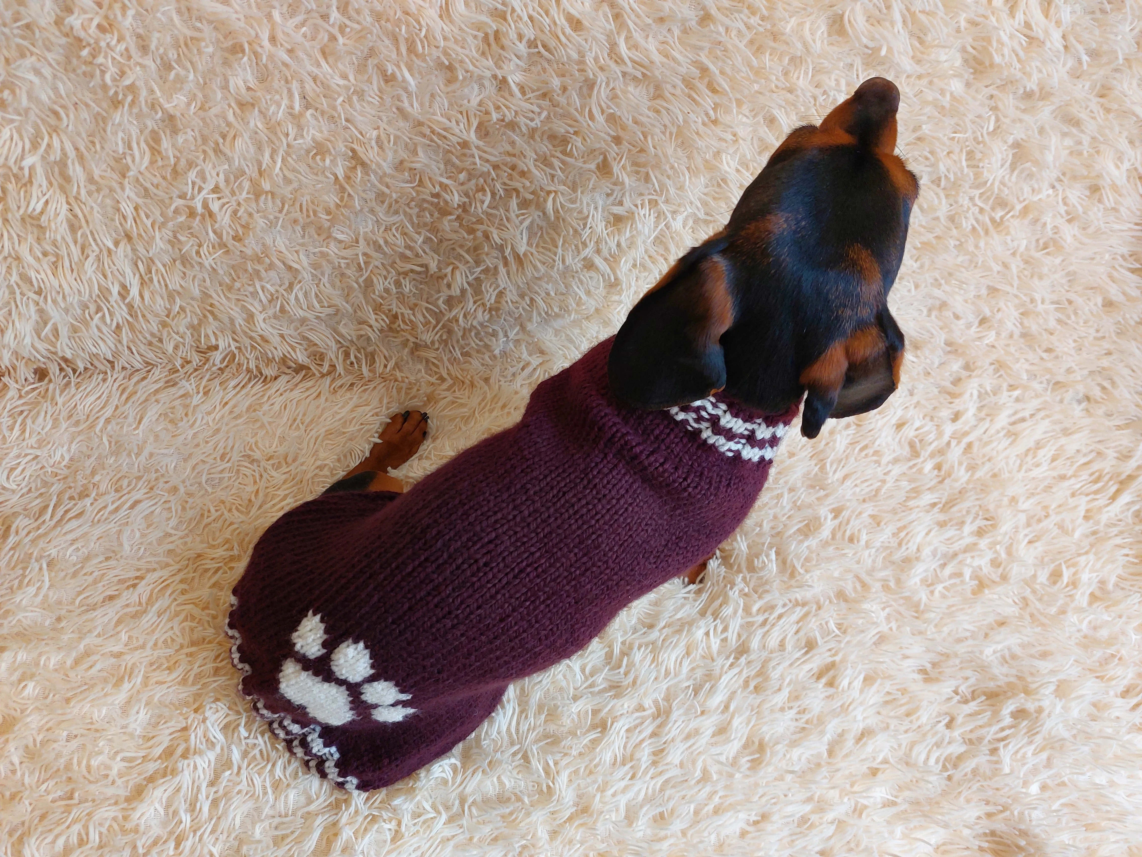 Dog clothes sweater with arana wool alpaca, jumper winter warm wool alpaca, wool winter clothes for dachshund