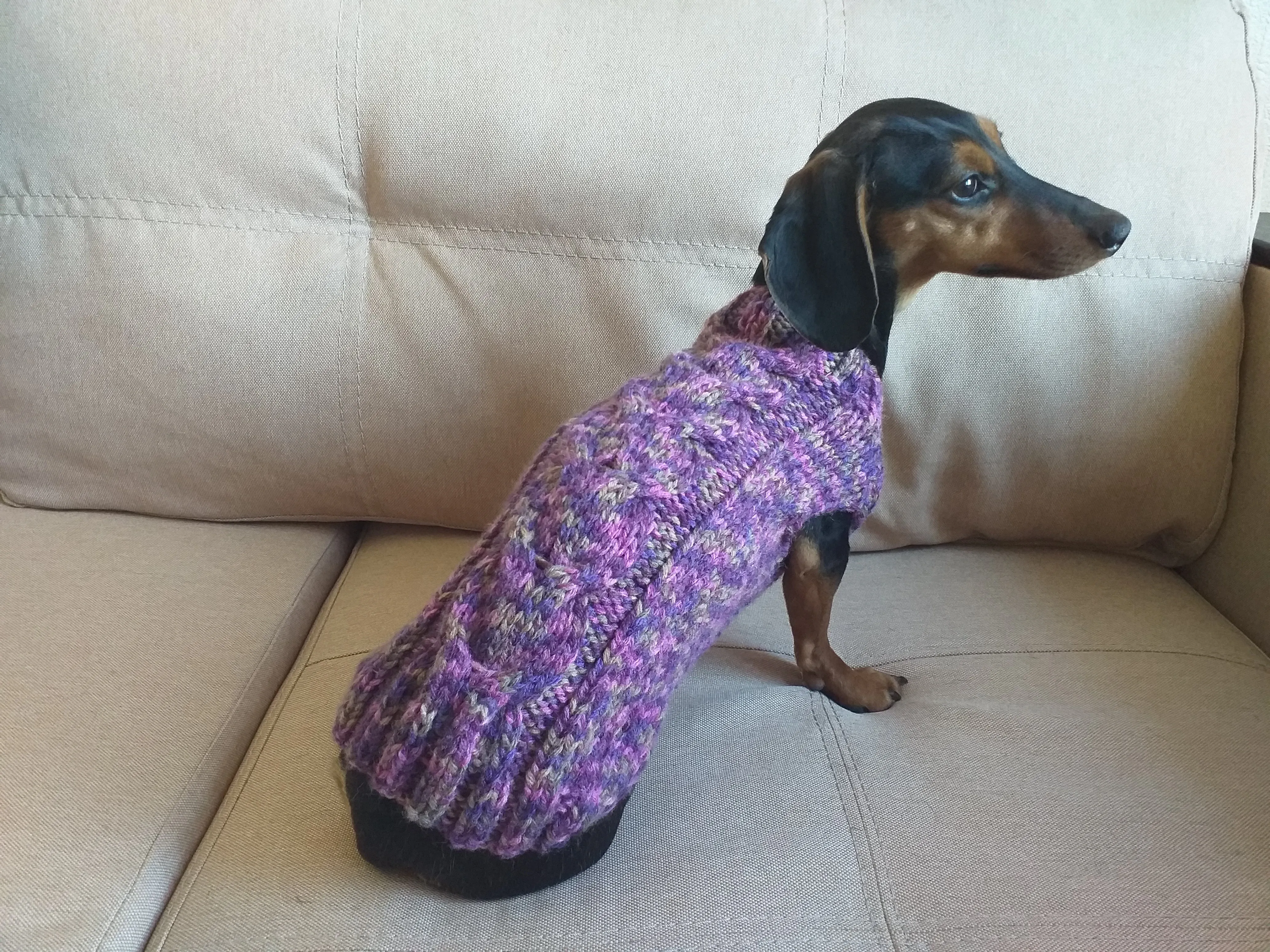 Knitted sweater for dogs, clothes for dachshunds, sweater for dogs, clothes for dogs, sweater for small dogs, dachshund sweater