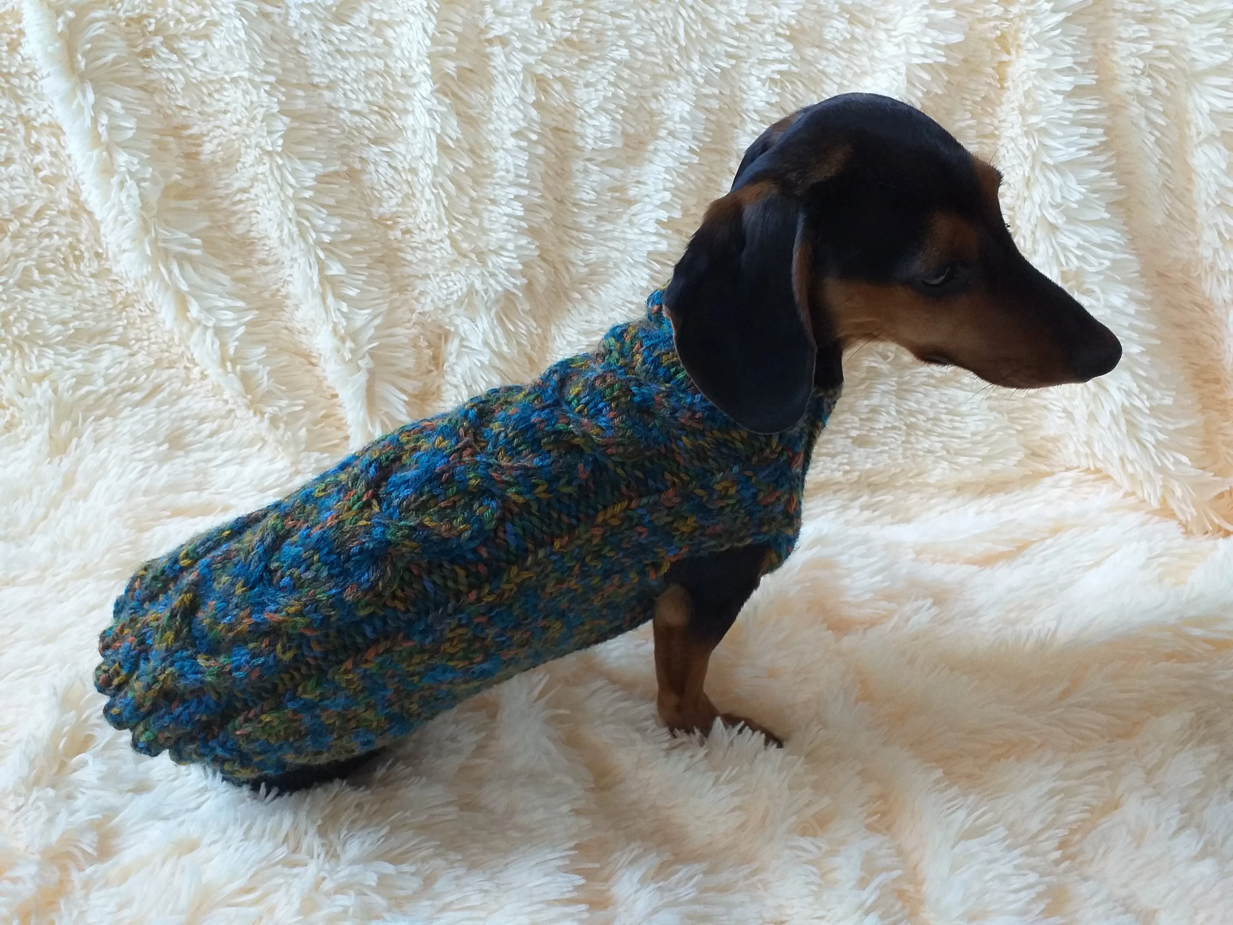 Knitted sweater for dogs, clothes for dachshunds, sweater for dogs, clothes for dogs, sweater for small dogs, dachshund sweater