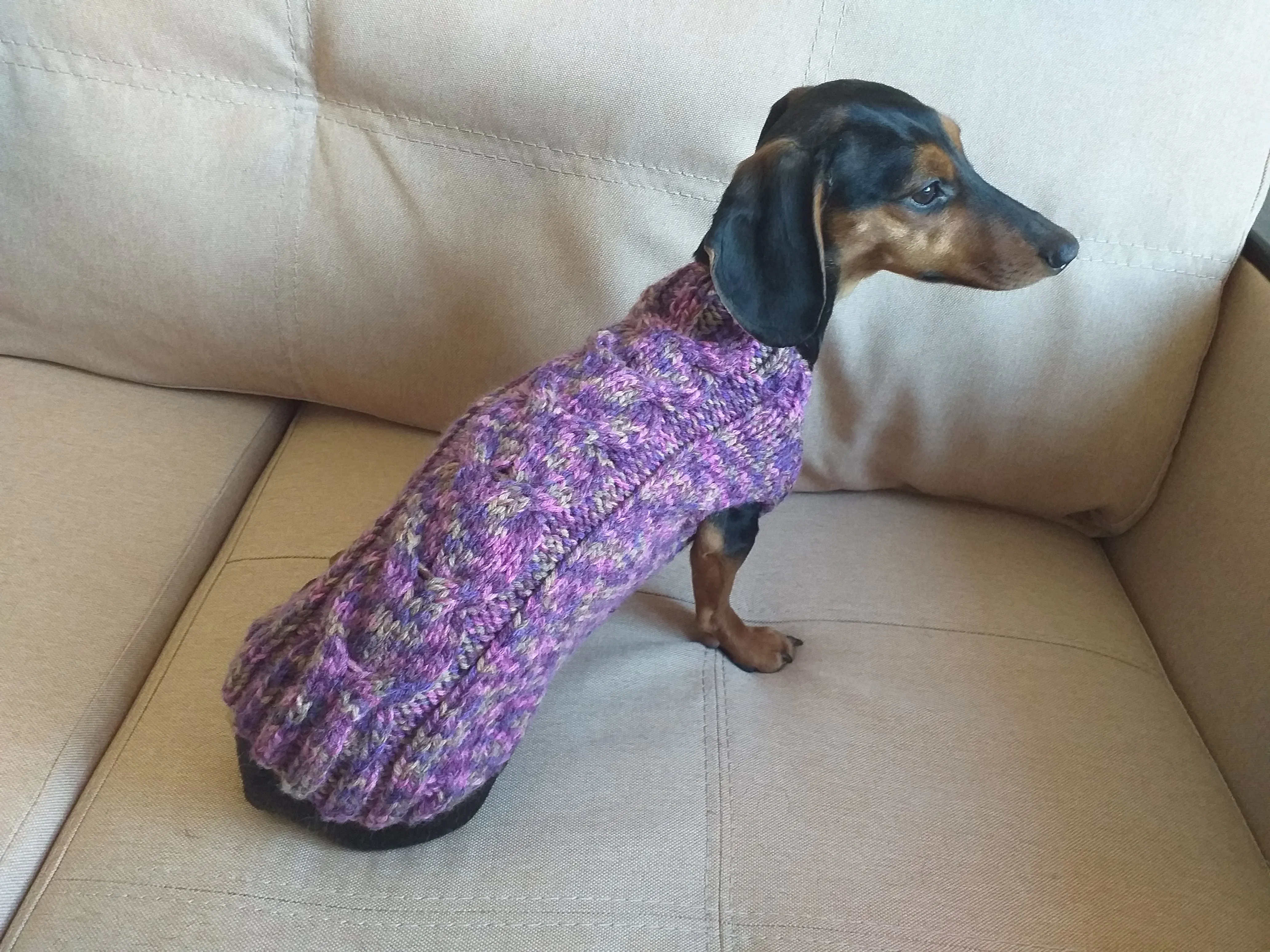 Knitted sweater for dogs, clothes for dachshunds, sweater for dogs, clothes for dogs, sweater for small dogs, dachshund sweater