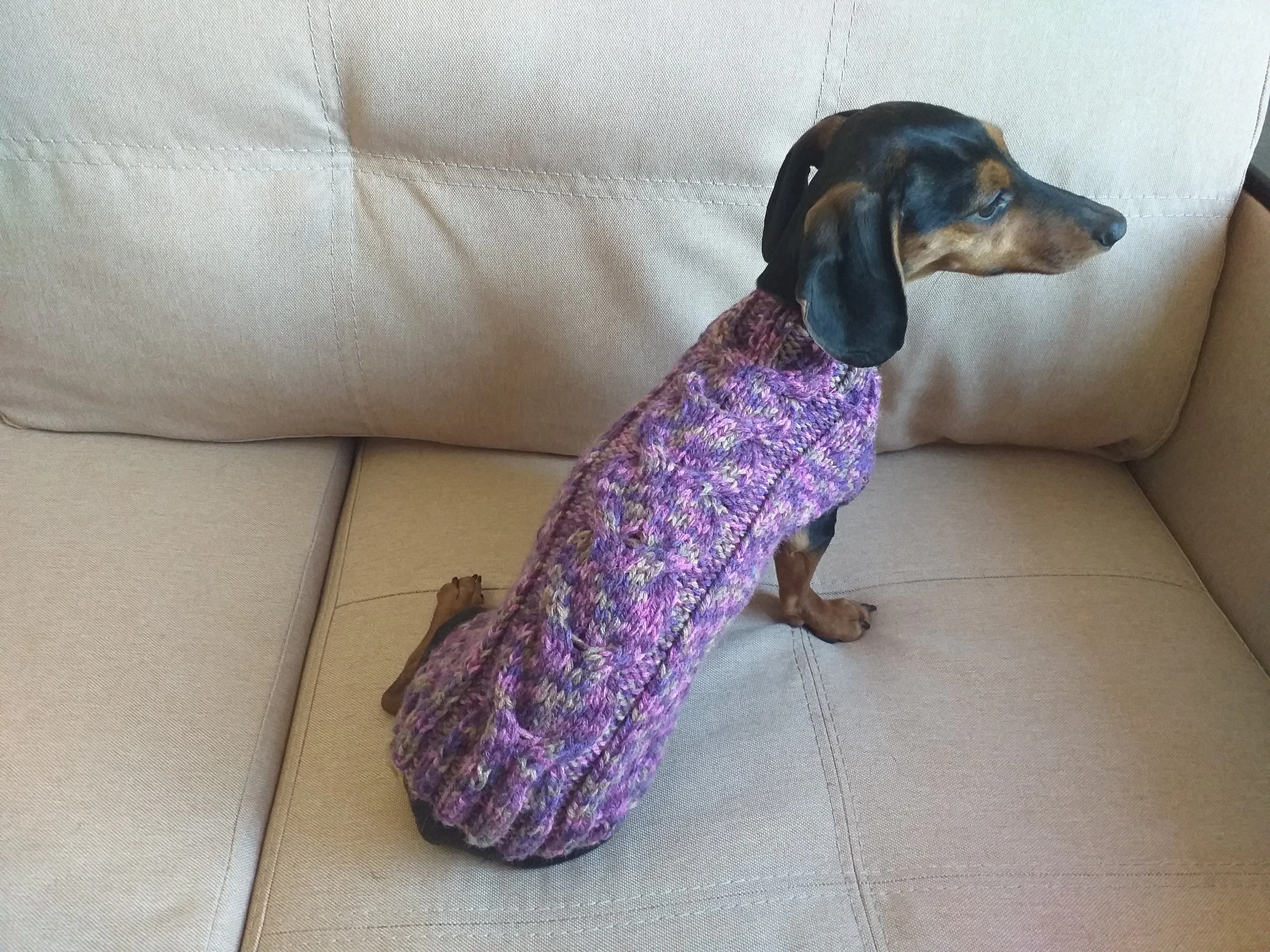 Knitted sweater for dogs, clothes for dachshunds, sweater for dogs, clothes for dogs, sweater for small dogs, dachshund sweater