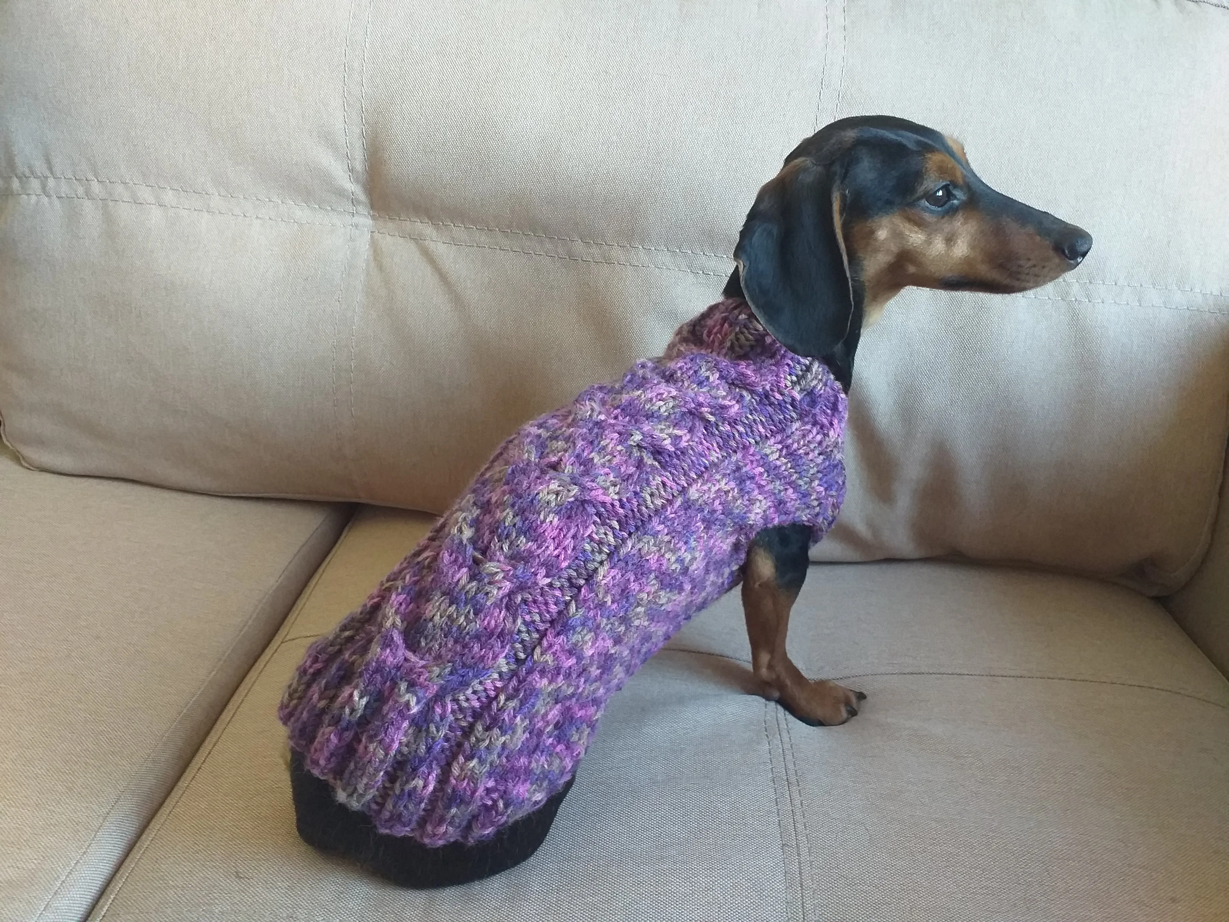 Knitted sweater for dogs, clothes for dachshunds, sweater for dogs, clothes for dogs, sweater for small dogs, dachshund sweater