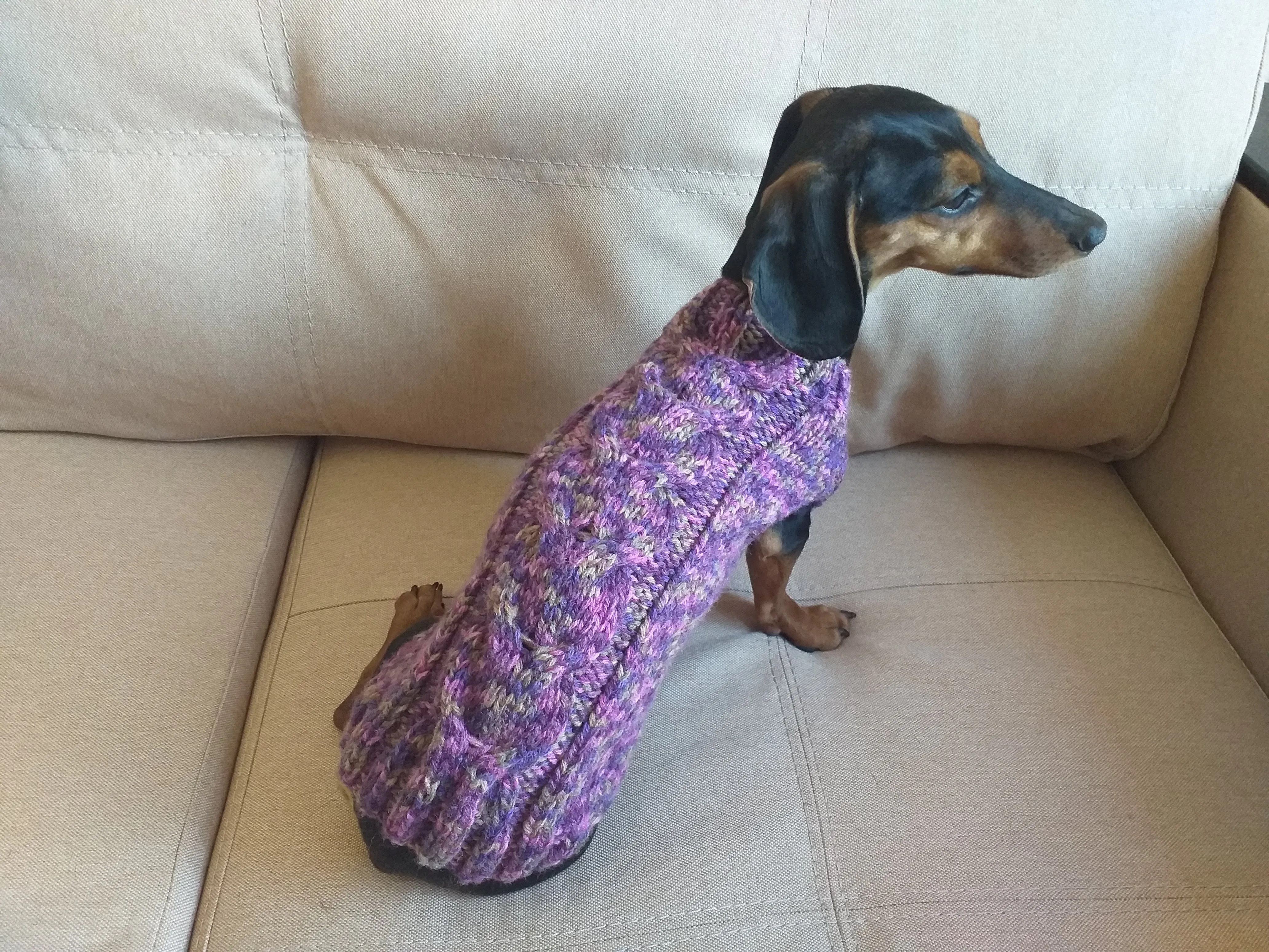 Knitted sweater for dogs, clothes for dachshunds, sweater for dogs, clothes for dogs, sweater for small dogs, dachshund sweater