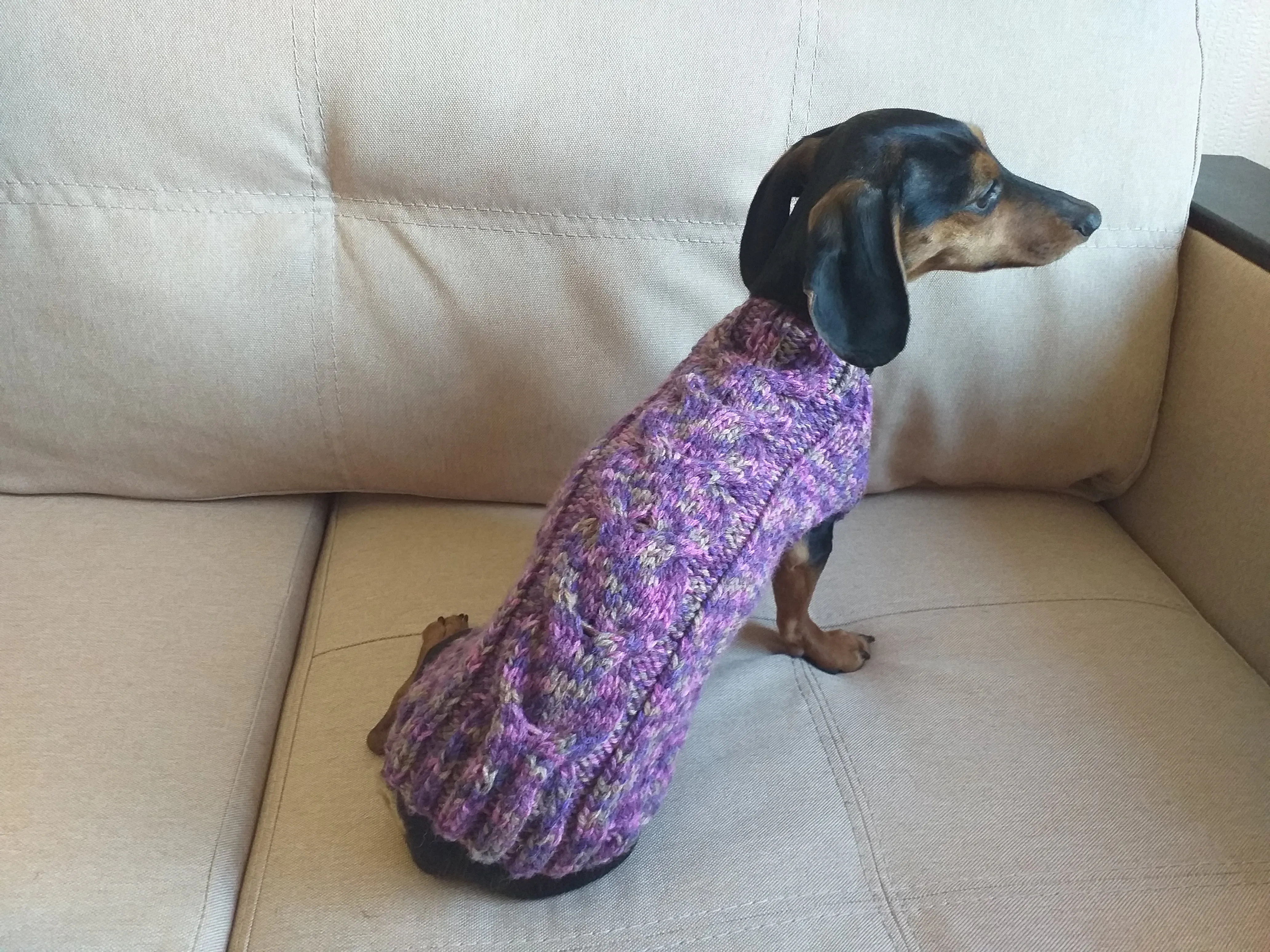 Knitted sweater for dogs, clothes for dachshunds, sweater for dogs, clothes for dogs, sweater for small dogs, dachshund sweater