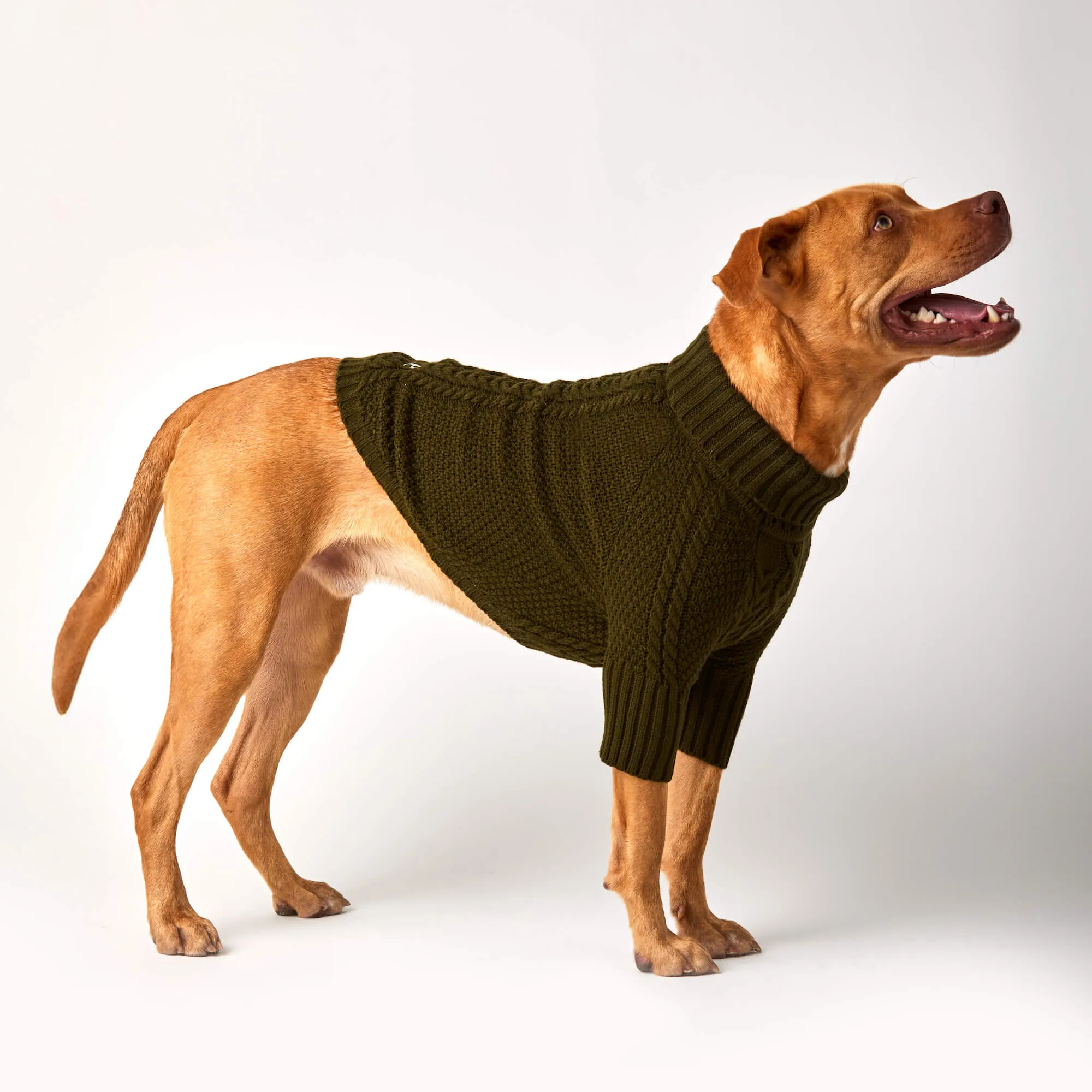 Olive Cable Knit Dog Sweater