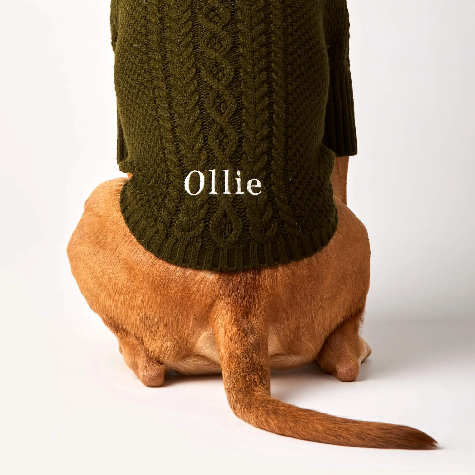 Olive Cable Knit Dog Sweater