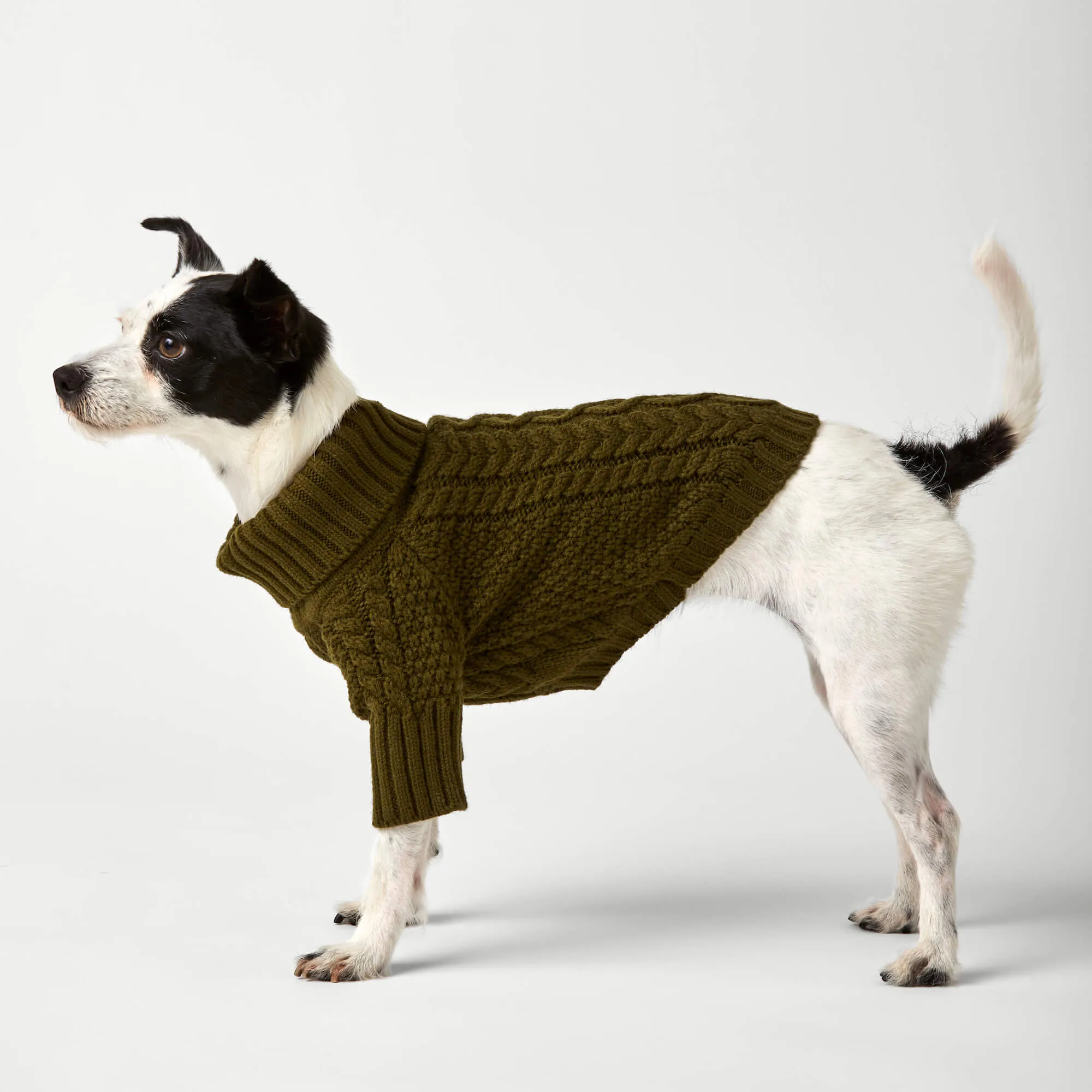 Olive Cable Knit Dog Sweater