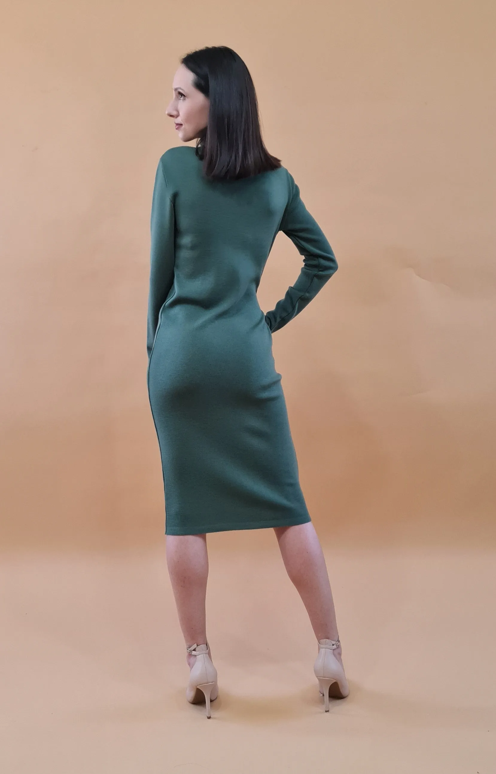 Silenzio Merino Wool Turtleneck Midi Dress