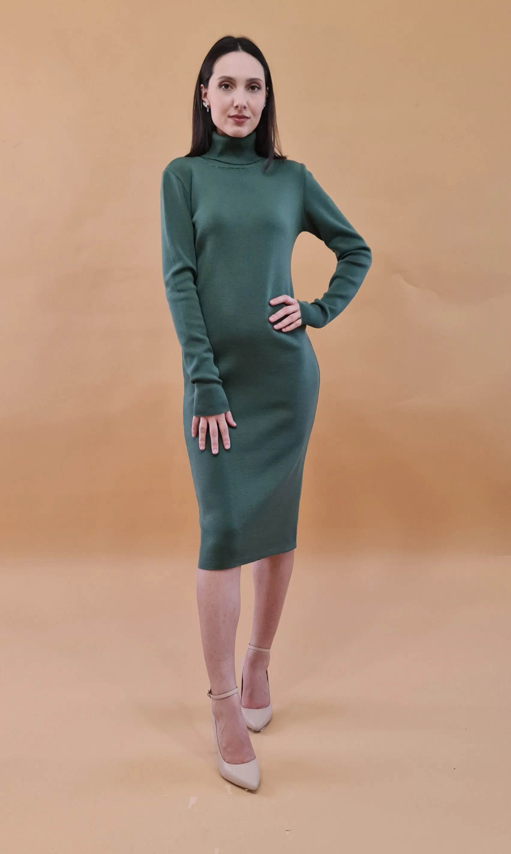 Silenzio Merino Wool Turtleneck Midi Dress