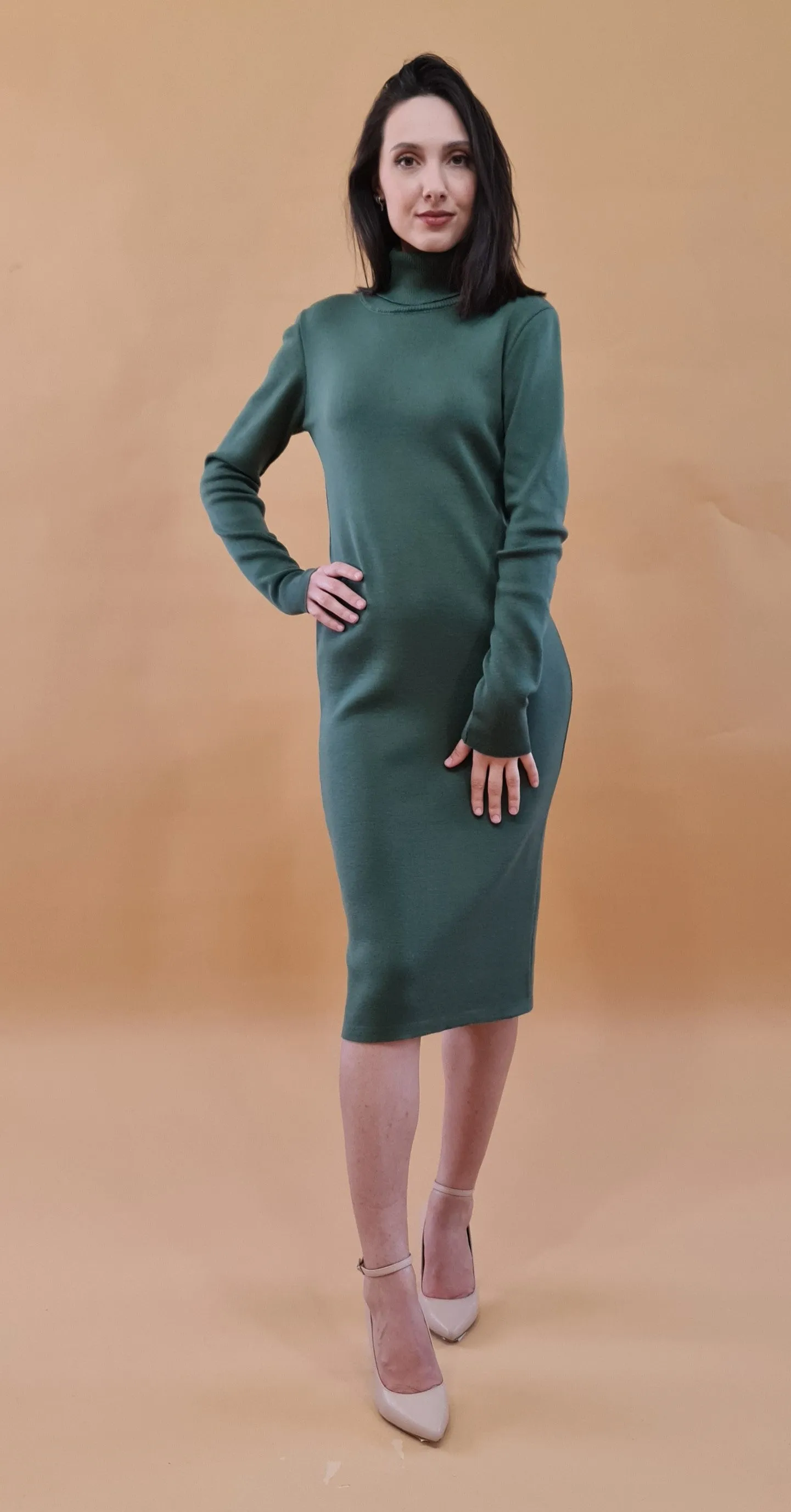 Silenzio Merino Wool Turtleneck Midi Dress