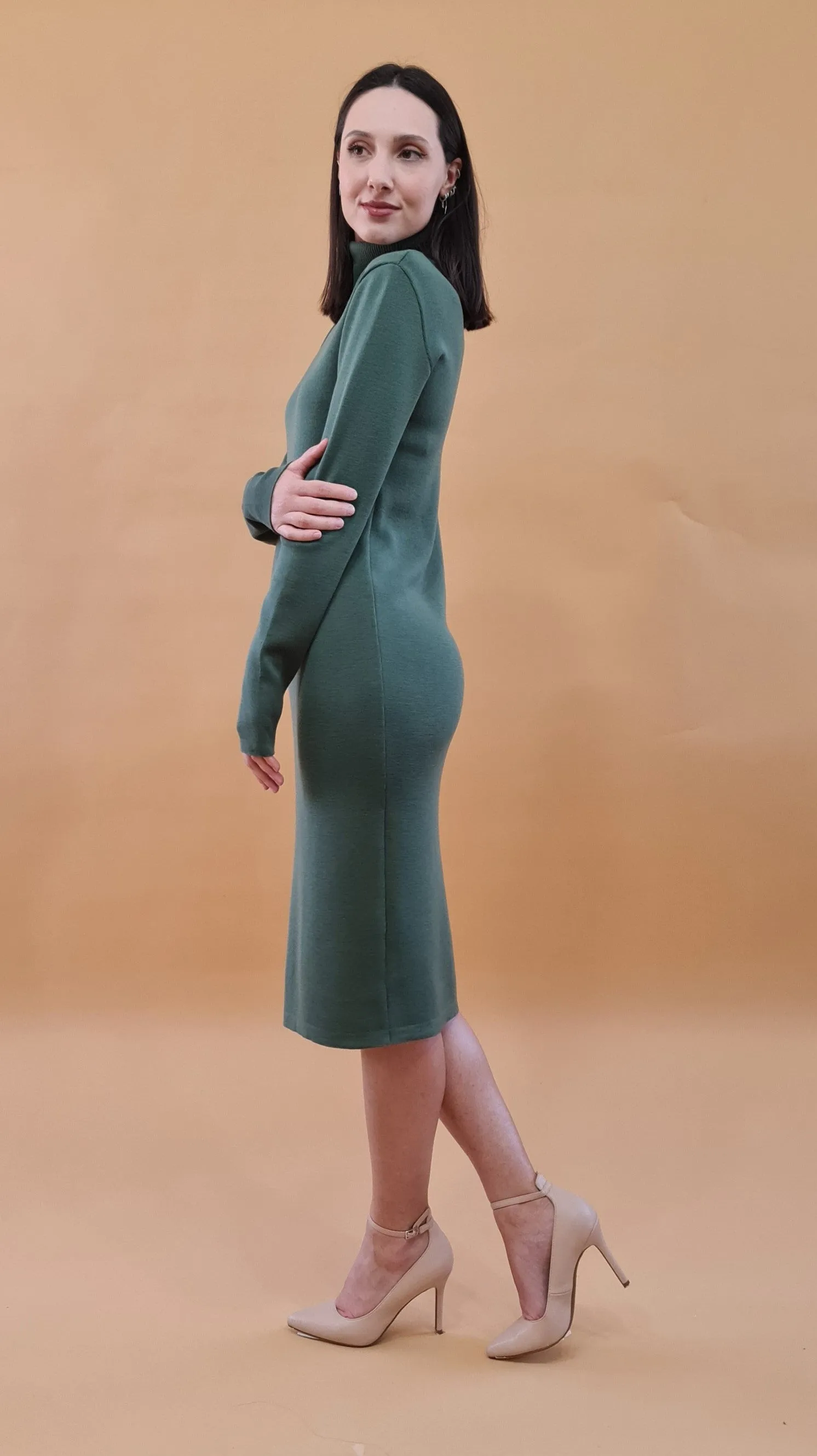 Silenzio Merino Wool Turtleneck Midi Dress